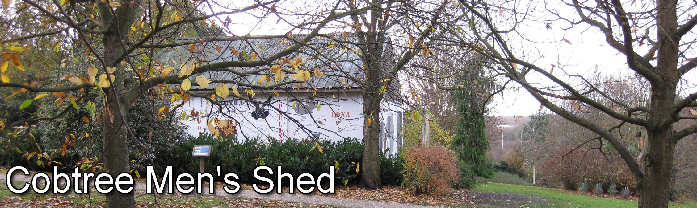 The Shed